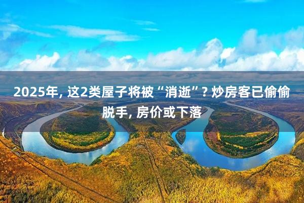 2025年, 这2类屋子将被“消逝”? 炒房客已偷偷脱手, 房价或下落