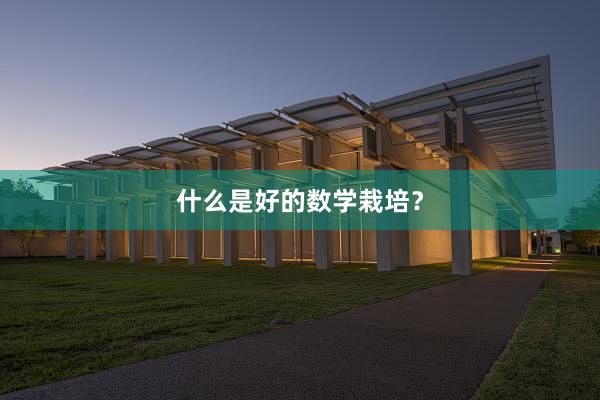 什么是好的数学栽培？