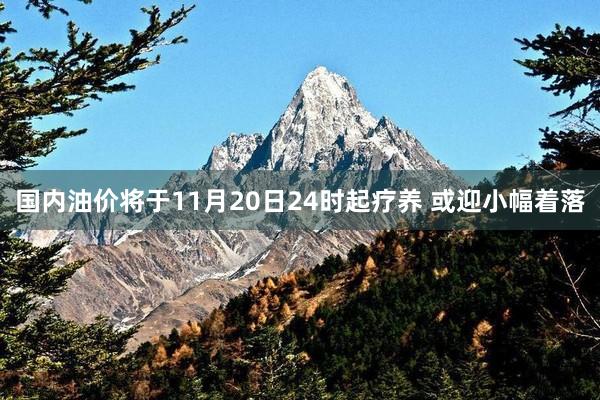国内油价将于11月20日24时起疗养 或迎小幅着落