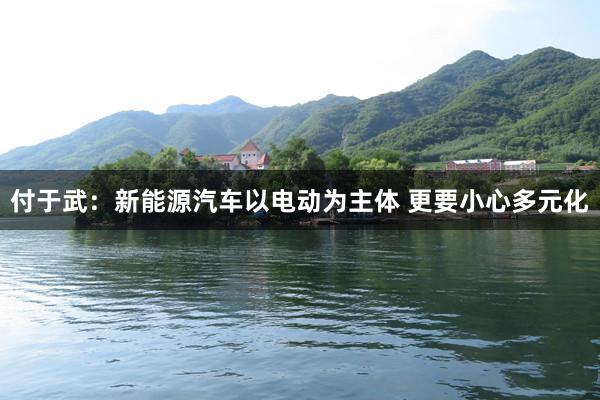 付于武：新能源汽车以电动为主体 更要小心多元化