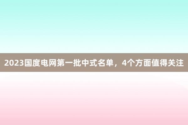 2023国度电网第一批中式名单，4个方面值得关注