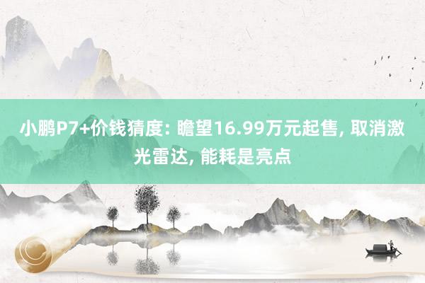 小鹏P7+价钱猜度: 瞻望16.99万元起售, 取消激光雷达, 能耗是亮点