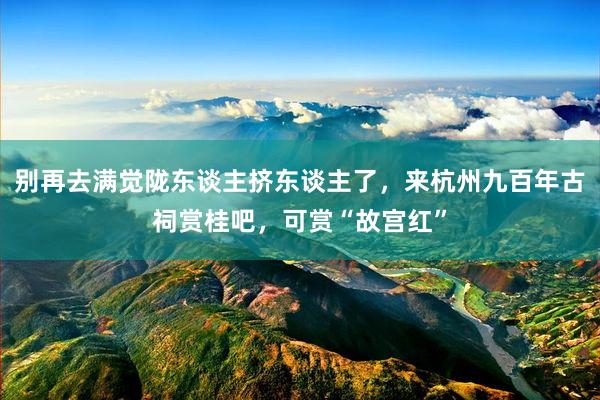 别再去满觉陇东谈主挤东谈主了，来杭州九百年古祠赏桂吧，可赏“故宫红”