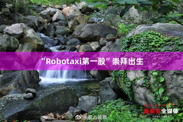 “Robotaxi第一股”崇拜出生